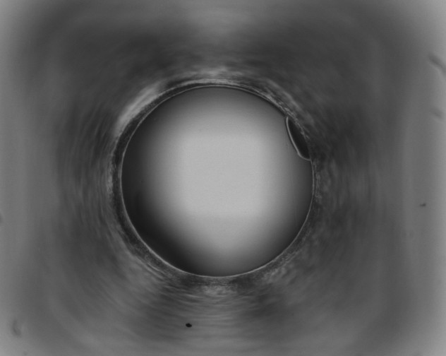 X0000097490344200803071744