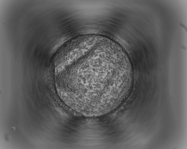 X0000097490345200803071744