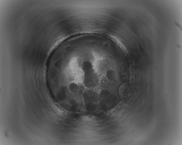 X0000097490346200803071744