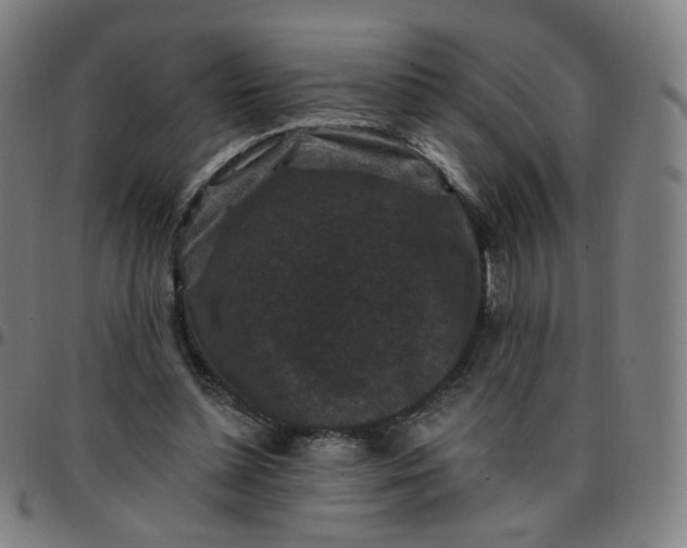 X0000097490348200803071744