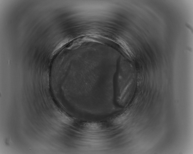 X0000097490349200803071744