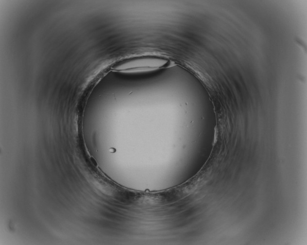 X0000097490350200803071744