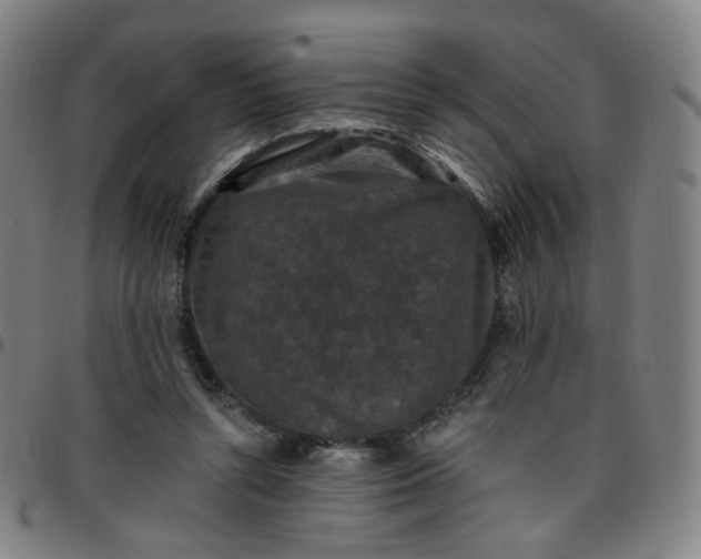 X0000097490352200803071744