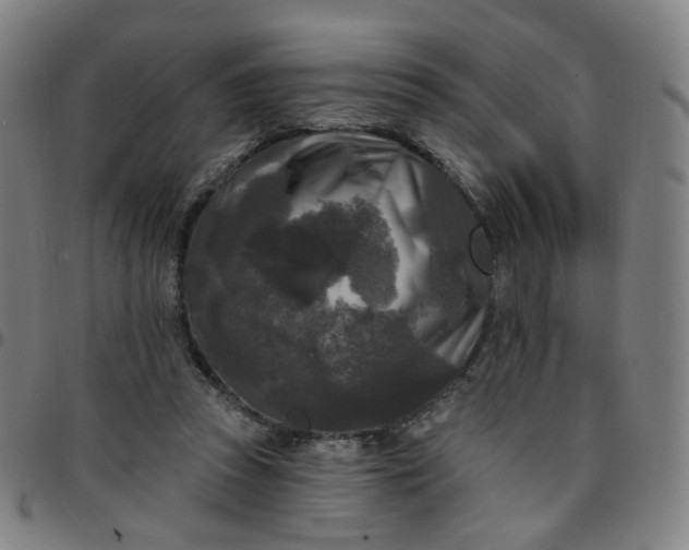 X0000097490353200803071744