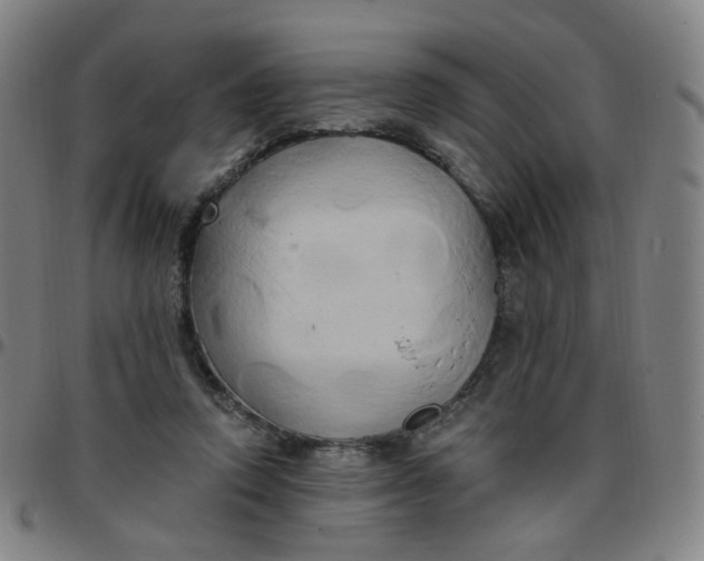 X0000097490354200803071744