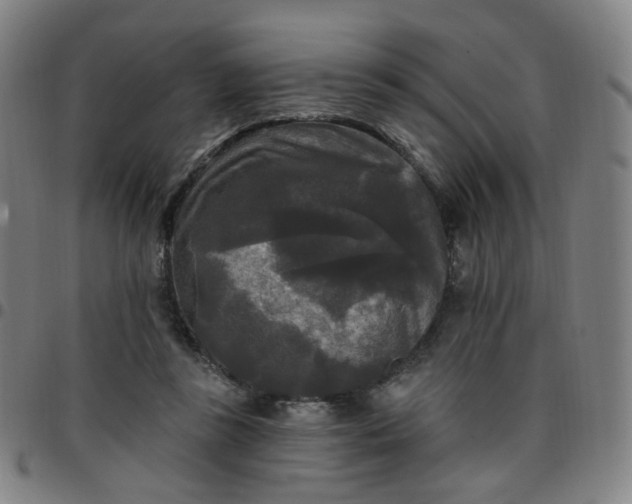 X0000097490355200803071744