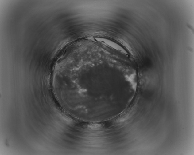 X0000097490357200803071744