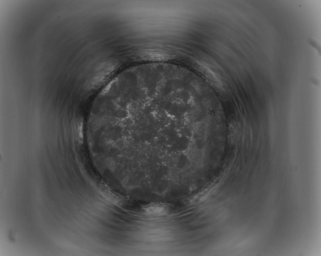 X0000097490358200803071744