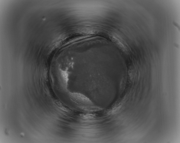 X0000097490359200803071744