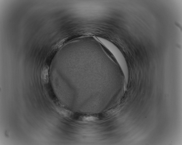 X0000097490360200803071744