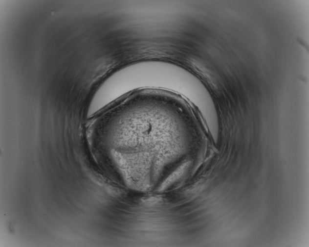 X0000097490362200803071744