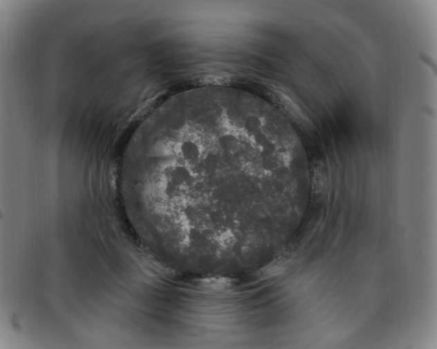 X0000097490363200803071744