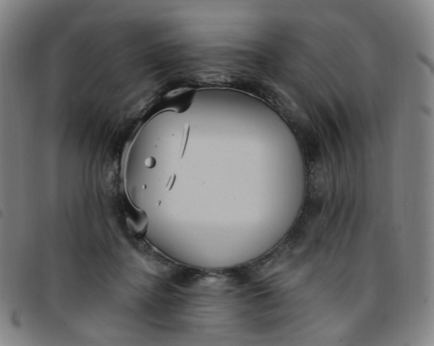 X0000097490364200803071744