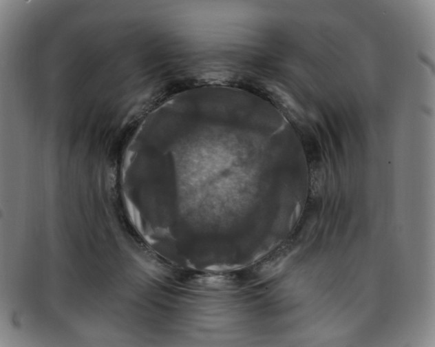 X0000097490365200803071744