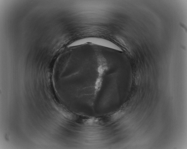 X0000097490366200803071744