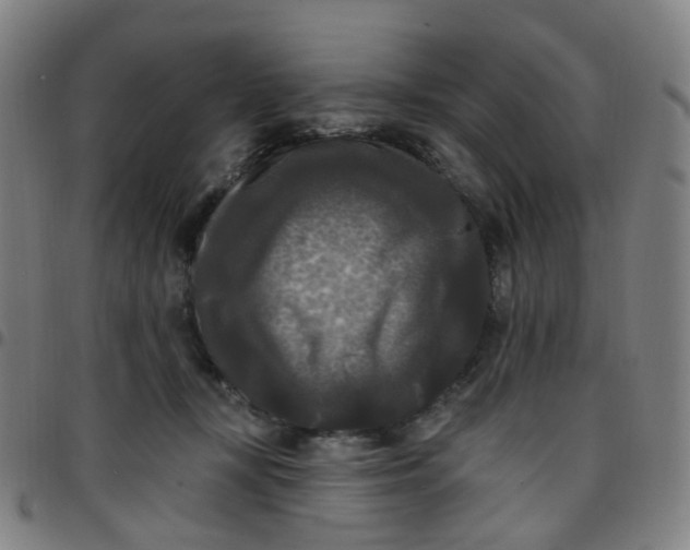 X0000097490367200803071744