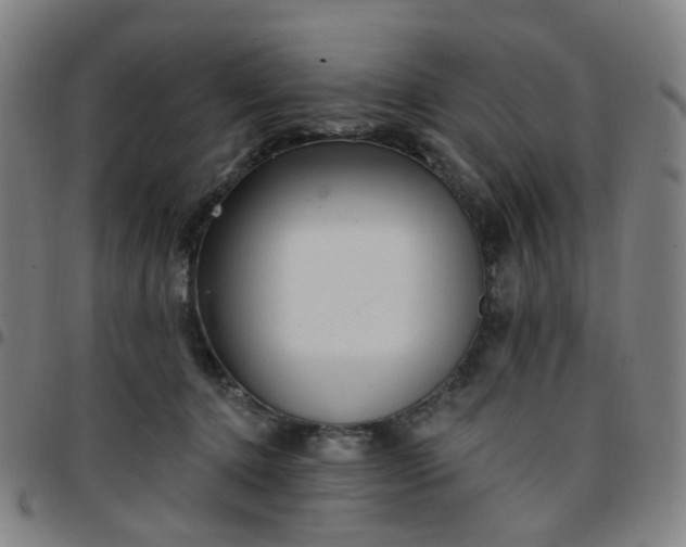 X0000097490368200803071744