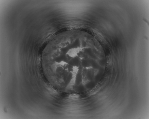 X0000097490369200803071744