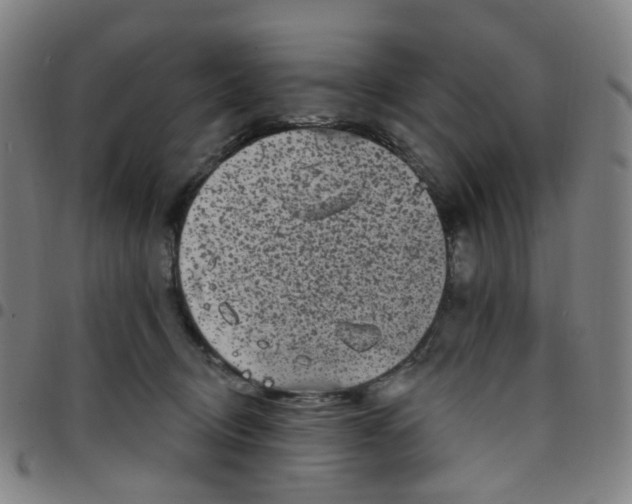 X0000097490370200803071744