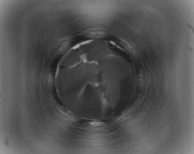 X0000097490371200803071744