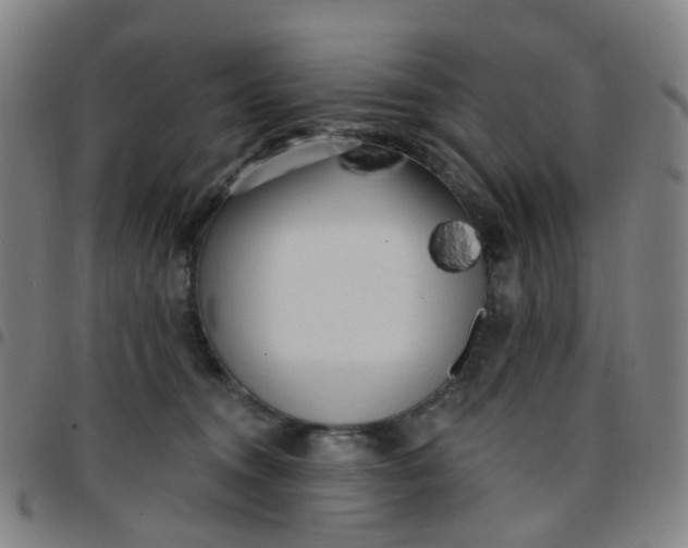 X0000097490372200803071744