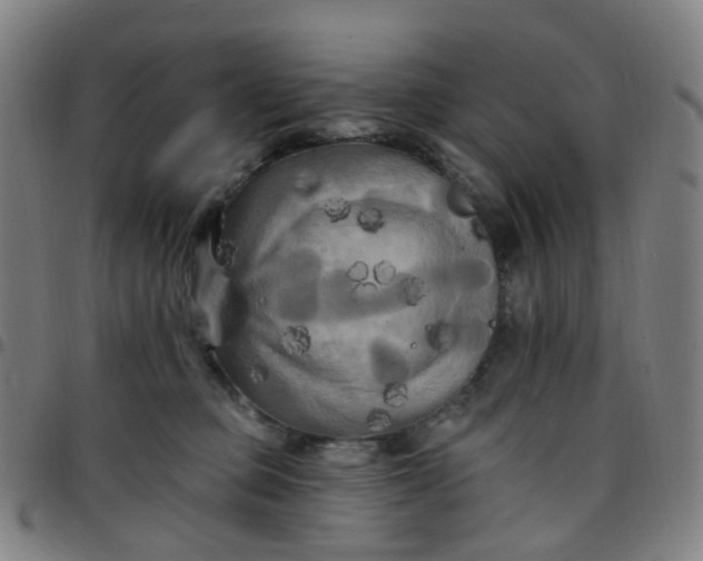 X0000097490373200803071744