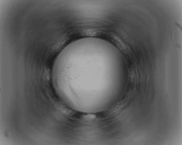 X0000097490374200803071744