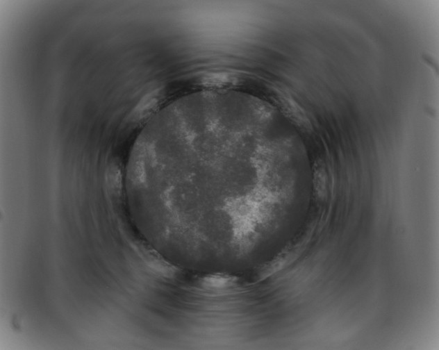 X0000097490375200803071744