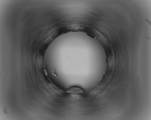 X0000097490376200803071744