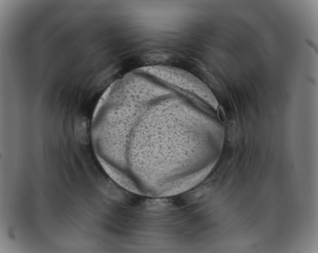 X0000097490378200803071744