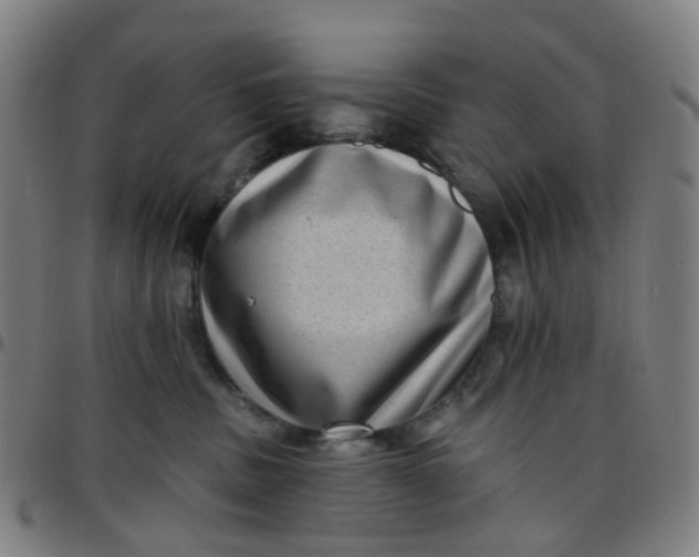 X0000097490379200803071745