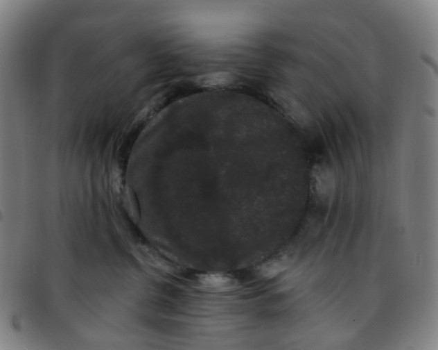 X0000097490380200803071745