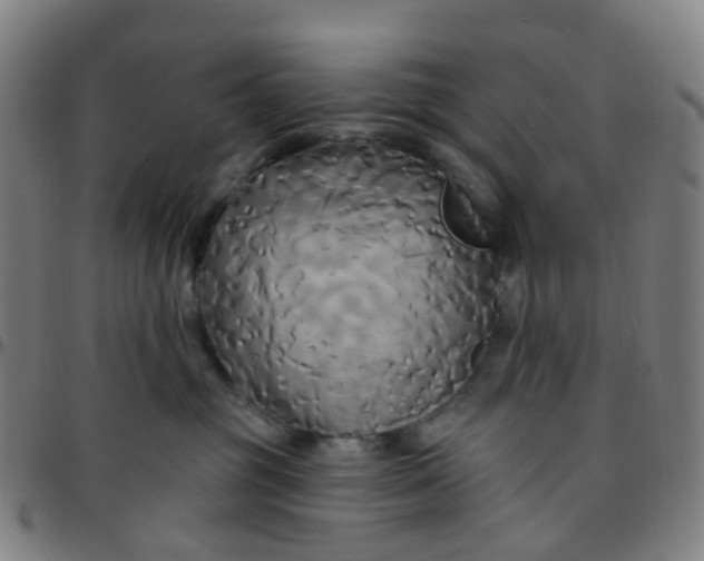 X0000097490381200803071745