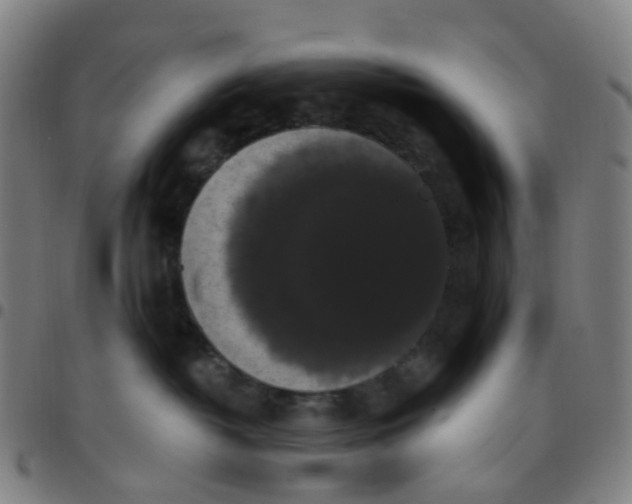 X0000097490382200803071745