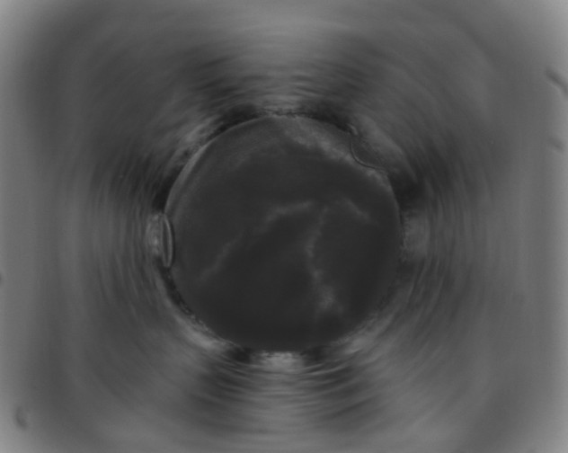 X0000097490383200803071745