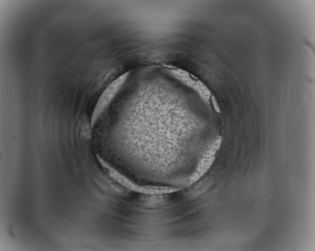 X0000097490384200803071745