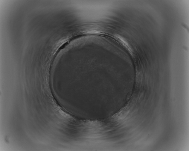 X0000097490385200803071744