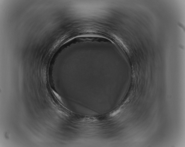 X0000097490386200803071744