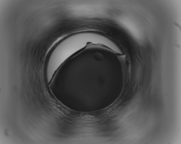 X0000097490387200803071744