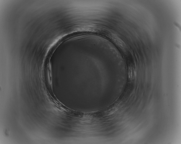 X0000097490388200803071744