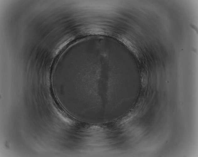 X0000097490390200803071744