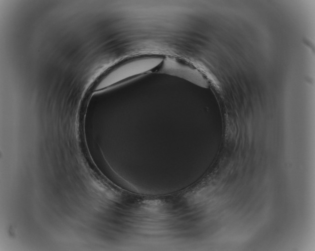 X0000097490391200803071744