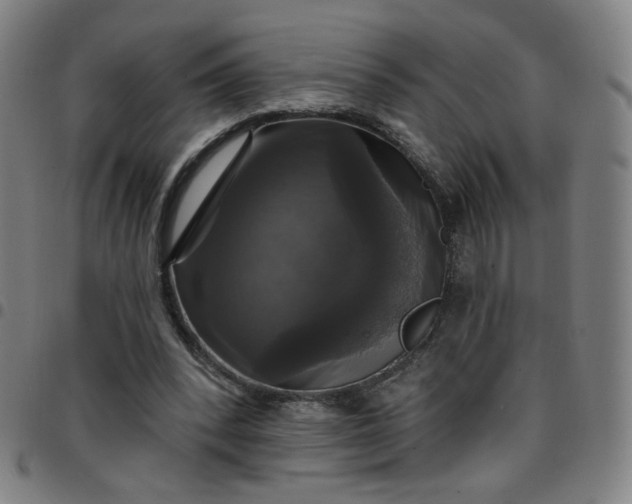 X0000097490392200803071744