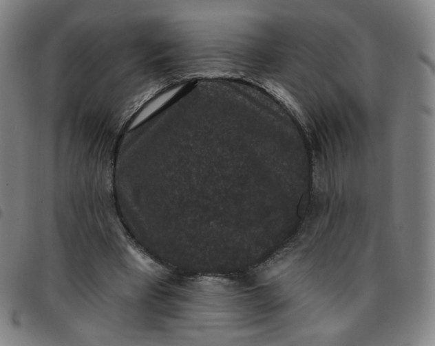 X0000097490393200803071744