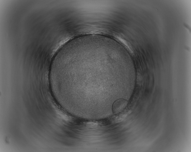 X0000097490394200803071744