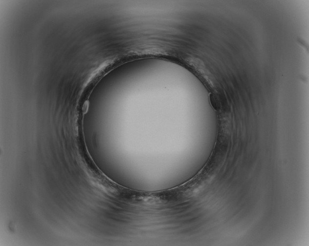 X0000097490395200803071744