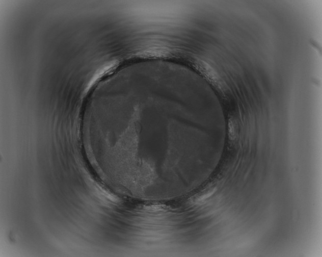 X0000097490396200803071744