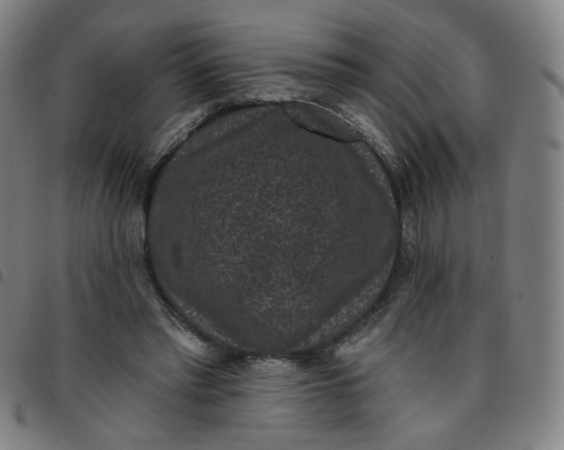 X0000097490397200803071744