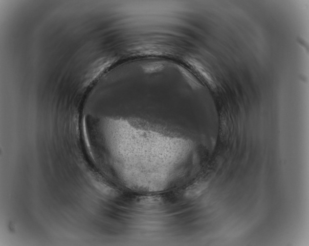 X0000097490398200803071744