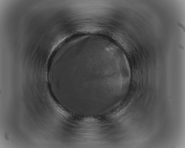 X0000097490399200803071744